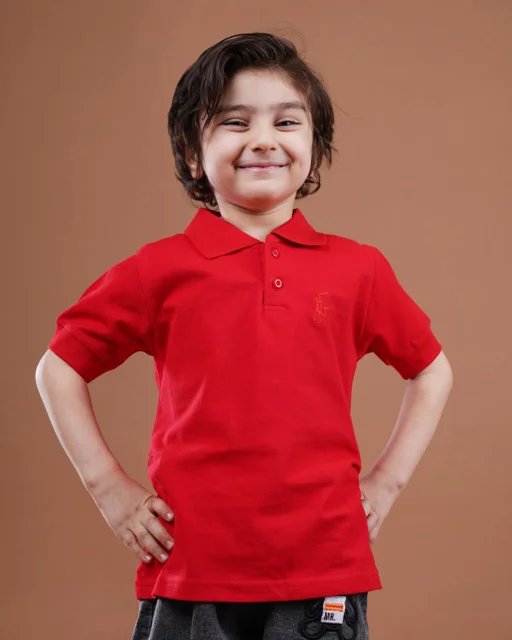 آریو - پولوشرت